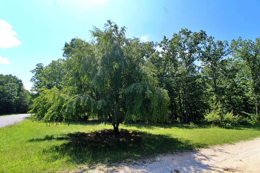 Community Rd., Dillwyn, VA 23936 - #3