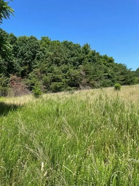 Elam Road, Pamplin, VA 23958 - #1