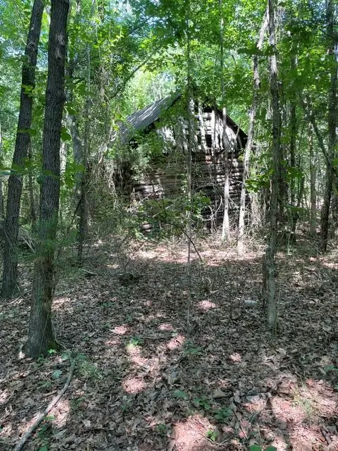 Elam Road, Pamplin, VA 23958 - #2