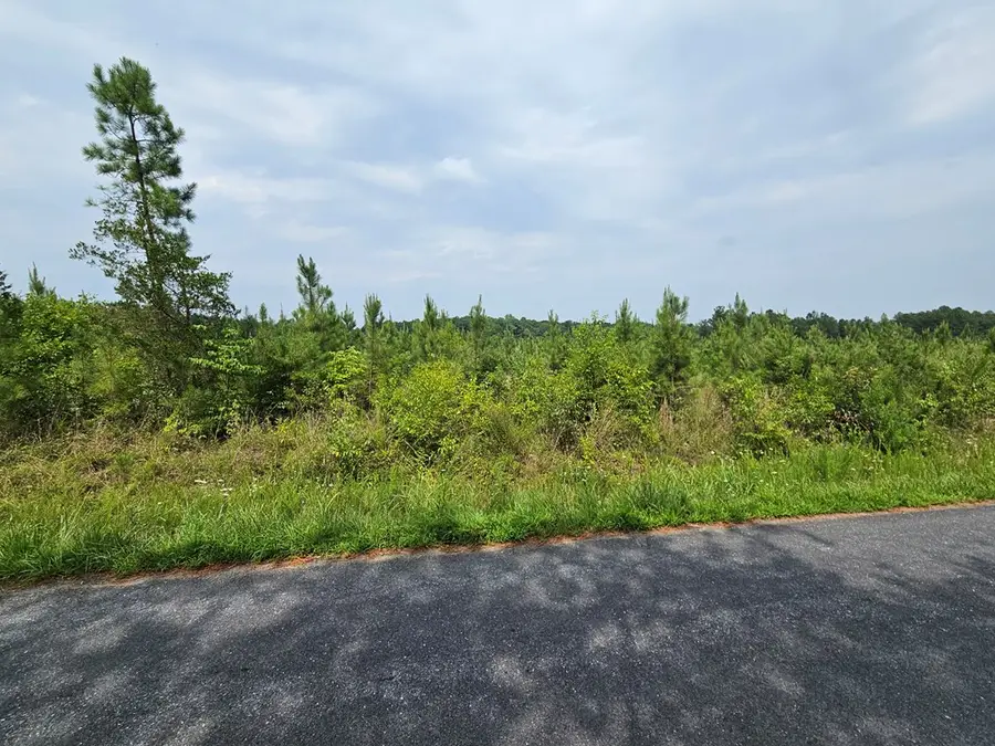 Penlan, Arvonia, VA 23004 - #2