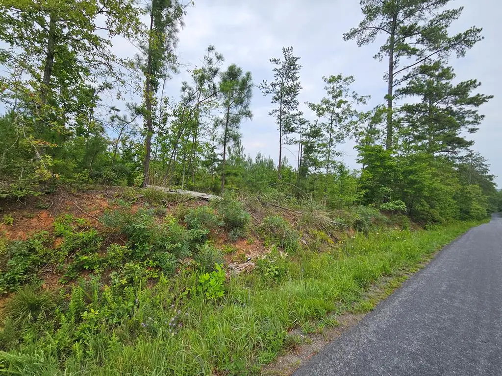 Penlan Rd, Arvonia, VA 23004 - #1