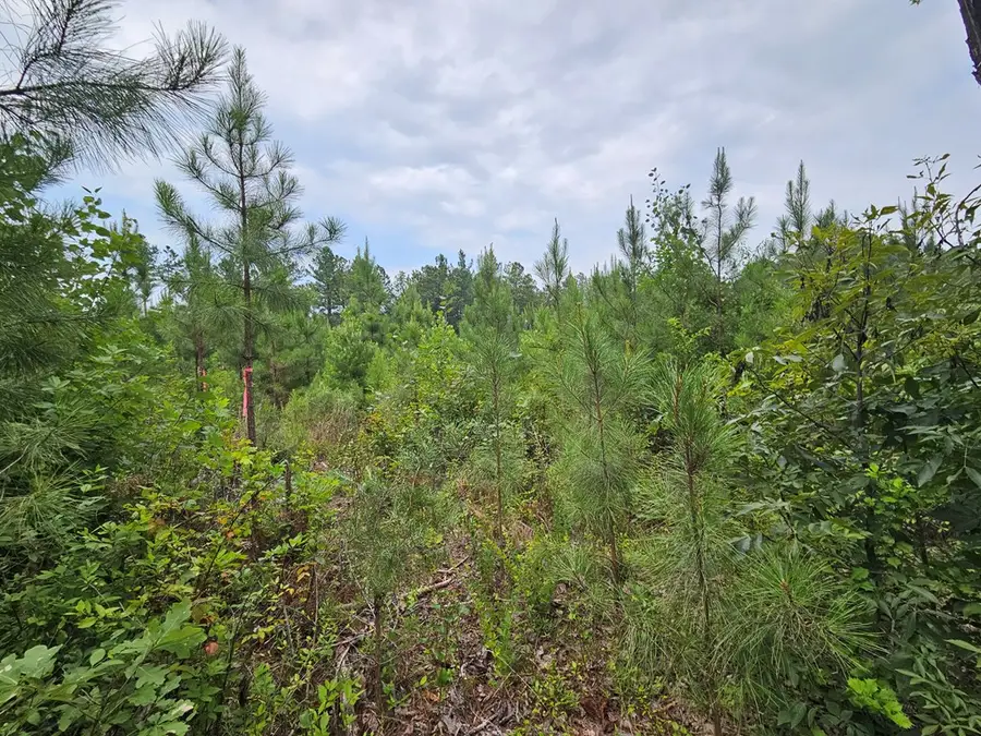 Penlan Rd, Arvonia, VA 23004 - #2