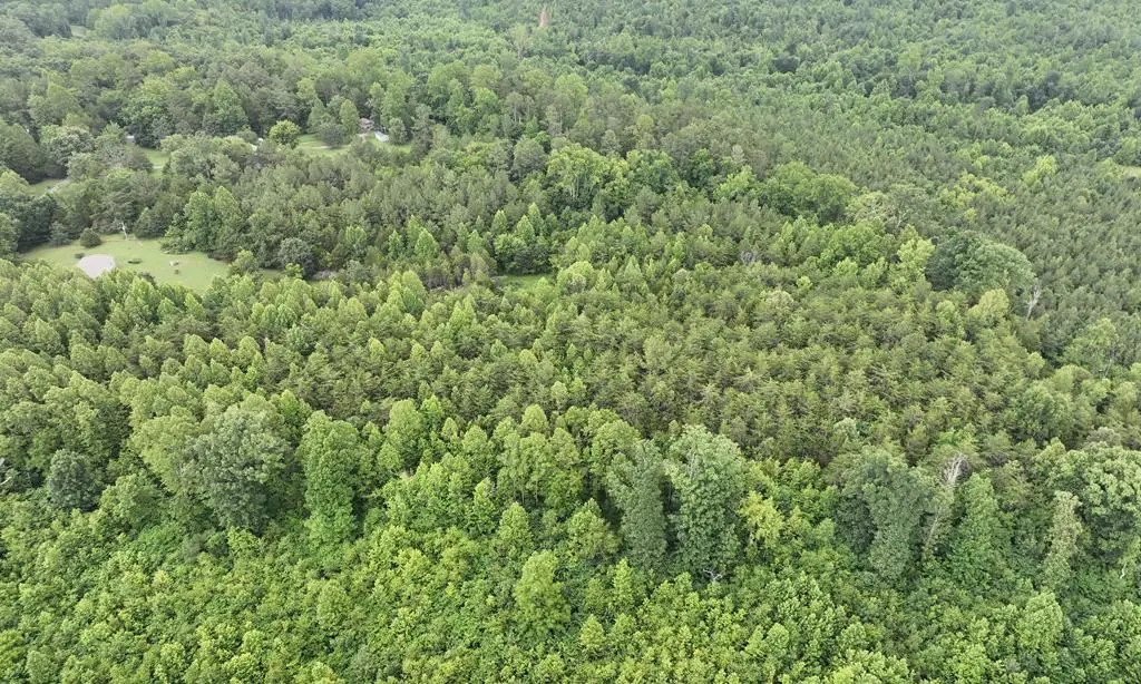 7.8 Ac Horsepen Road, Farmville, VA 23901 - #1