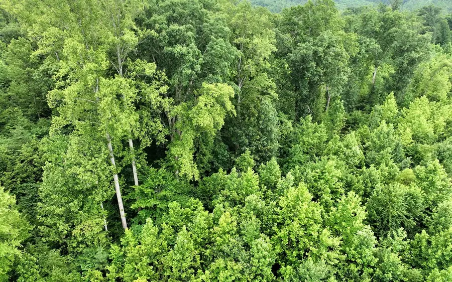7.8 Ac Horsepen Road, Farmville, VA 23901 - #2