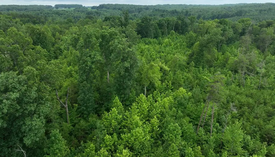 7.8 Ac Horsepen Road, Farmville, VA 23901 - #3