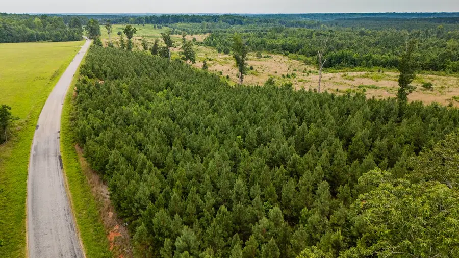 Germantown Rd, Keysville, VA 23947 - #2