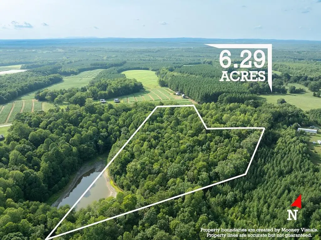 Riceville Road, Java, VA 24565 - #1