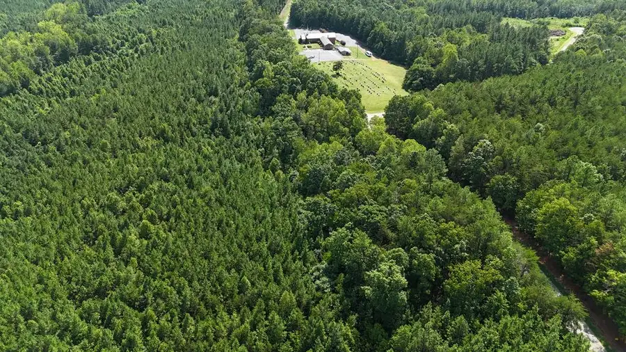 Bibee Rd, Pittsville, VA 24139 - #3