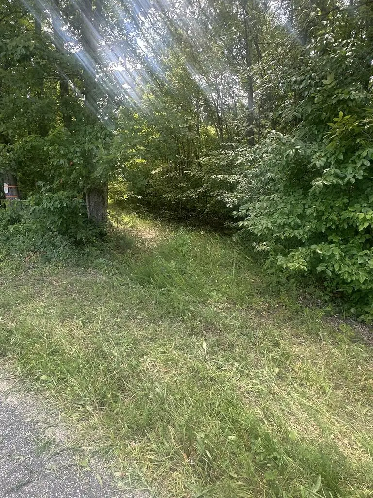 Twenty- Two Road, Pamplin, VA 23958 - #2