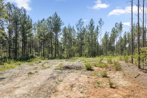 Algerene Rd, Drakes Branch, VA 23937