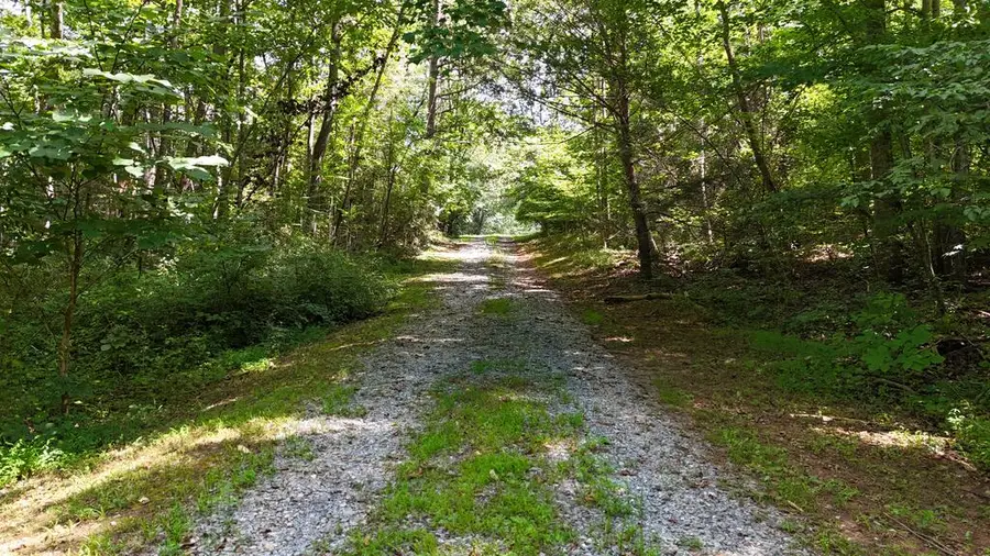 3940 Bear Creek Rd, Rustburg, VA 24588 - #2