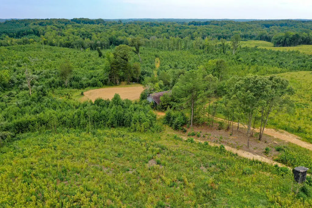 Sweden Fork Creek Lane, Chatham, VA 24531 - #1