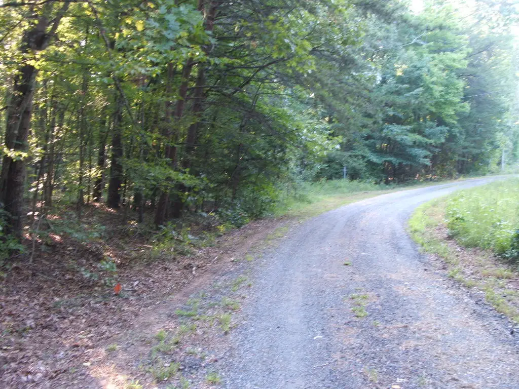 319 Whitney Lane, Keysville, VA 23947 - #1