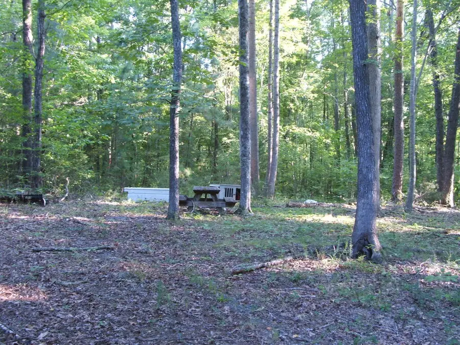 319 Whitney Lane, Keysville, VA 23947 - #2