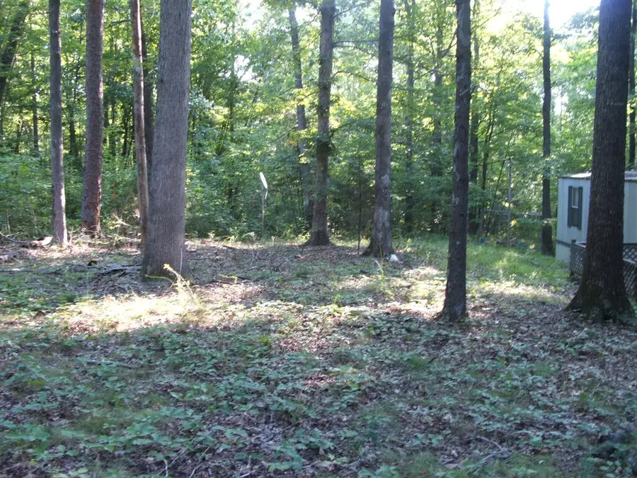 319 Whitney Lane, Keysville, VA 23947 - #3