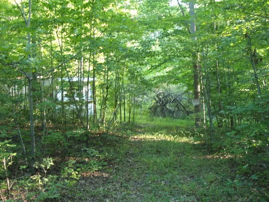 355 Whitney Lane, Central, VA 23846 - #3