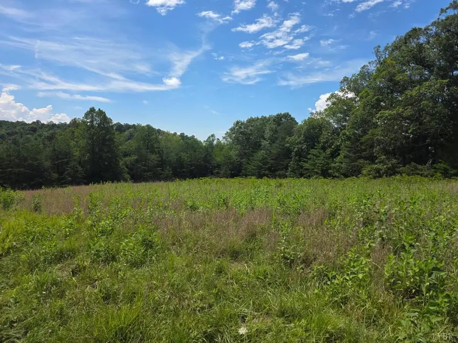 Maury Place, Appomattox, VA 24522 - #2