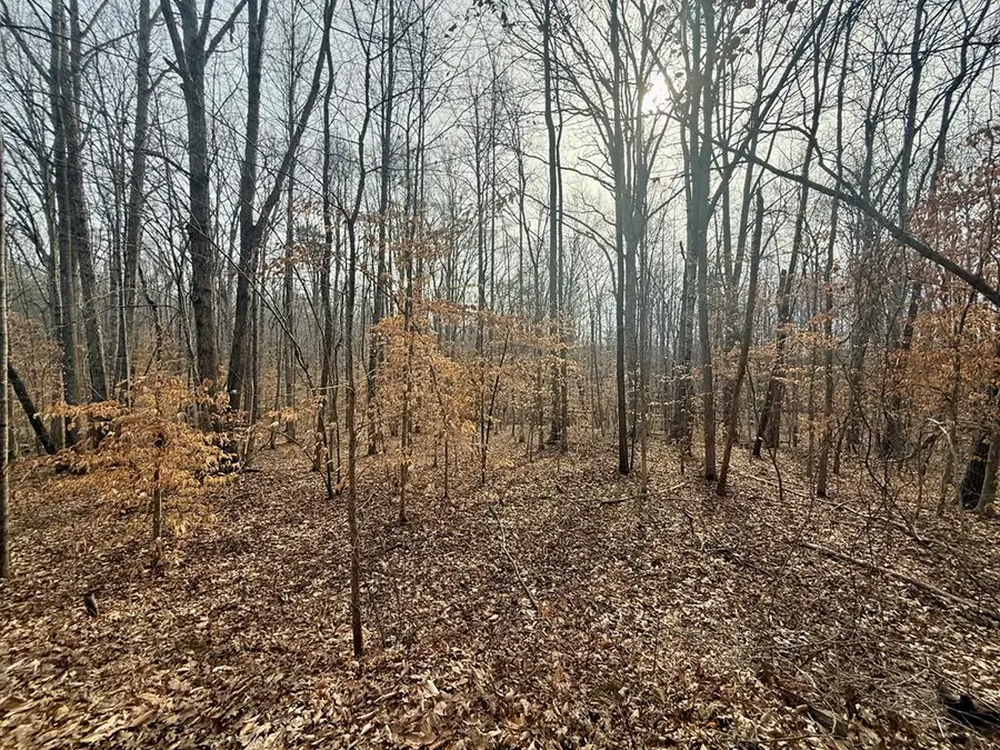 62 Willis Bluff Ln, Cumberland, VA 23040 - #2