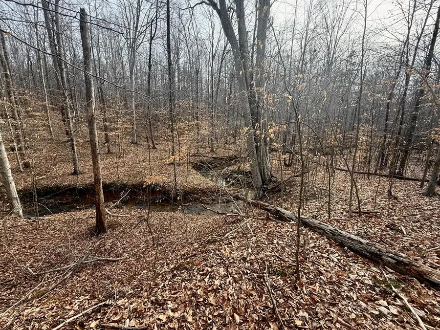 62 Willis Bluff Ln, Cumberland, VA 23040 - #3