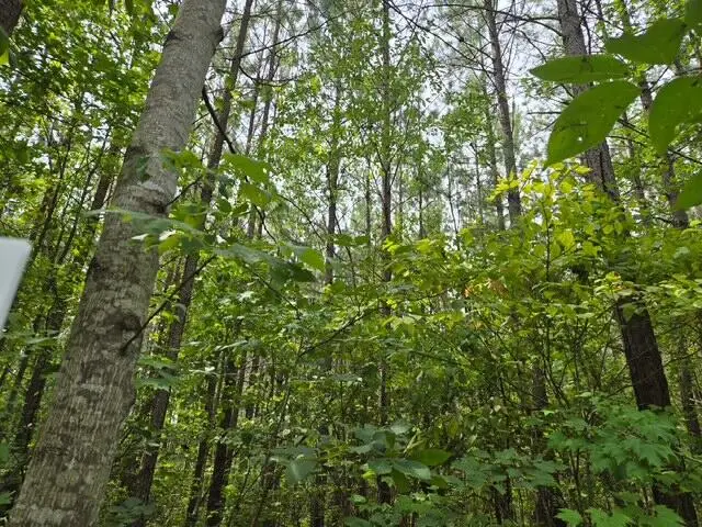 Miller Camp Road, Buckingham, VA 23921 - #1