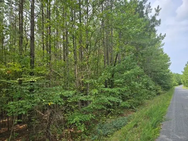 Miller Camp Road, Buckingham, VA 23921 - #2
