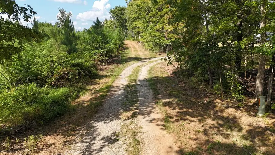 250 296 Cc Lane, Drakes Branch, VA 23937 - #2