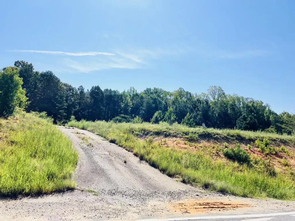 Buggs Island Rd, Boydton, VA 23917 - #1