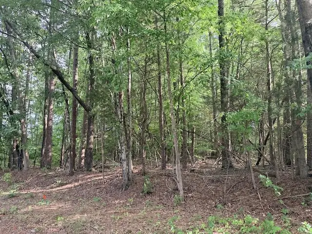 Skipwtih Rd, Boydton, VA 23917 - #2
