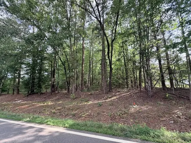 Skipwtih Rd, Boydton, VA 23917 - #3