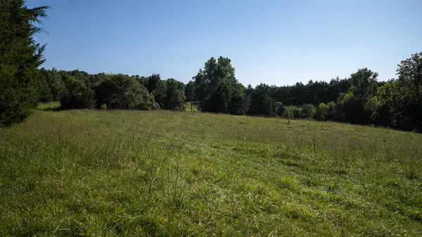 Schultz Mt. Road, Meherrin, VA 23954