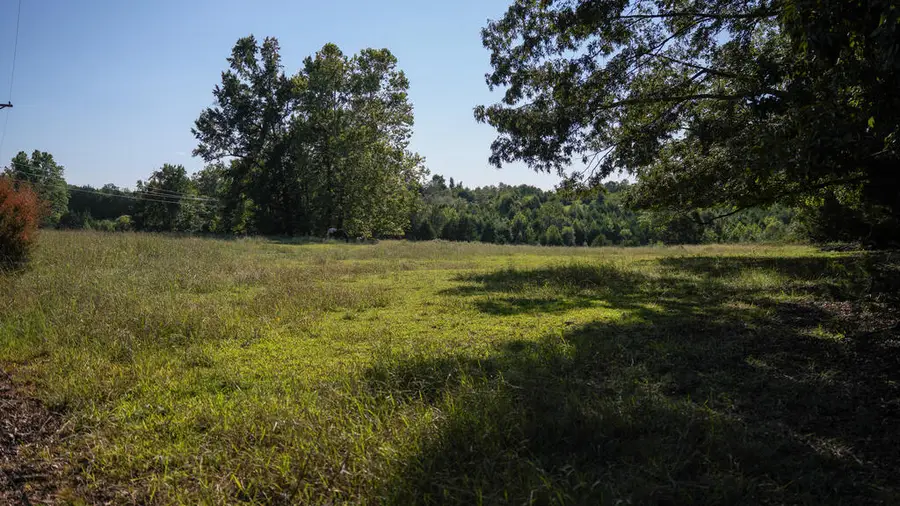 Schultz Mt. Road, Meherrin, VA 23954 - #2