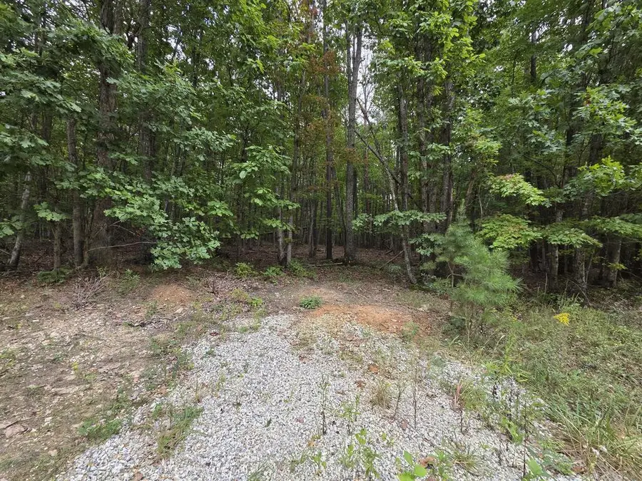 Meadow Creek, Wingina, VA 24599 - #2
