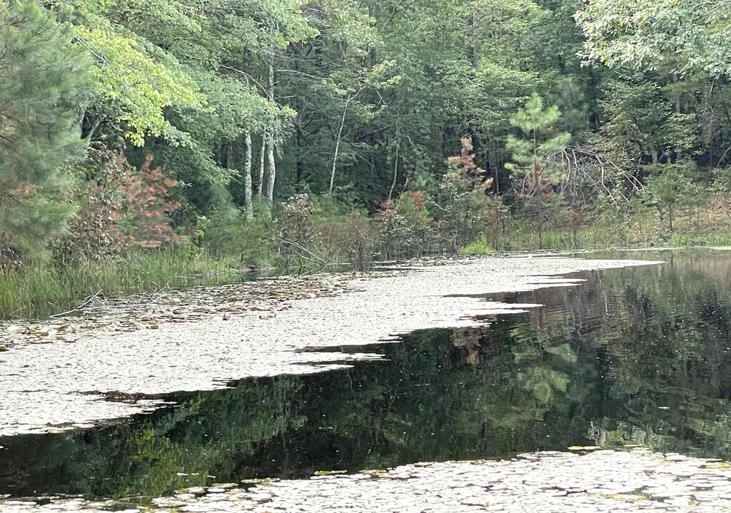 10.27 Acre College Park Lane, Keysville, VA 23947 - #1
