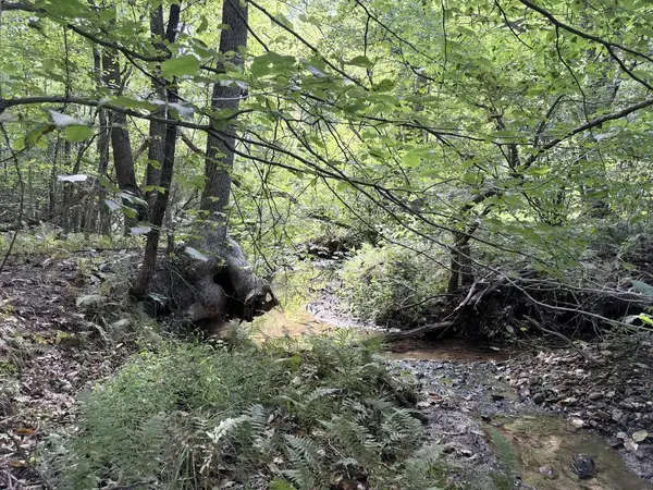 Piney Mountain Lane, Shipman, VA 22971