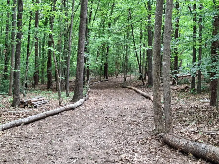 Piney Mountain Lane, Shipman, VA 22971 - #3