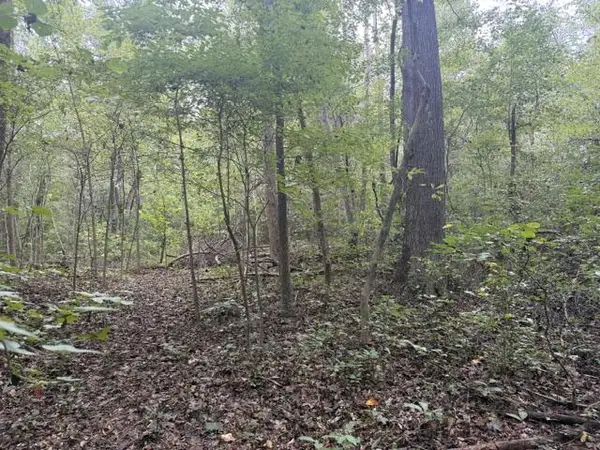 Twin Bridges Road, Green Bay, VA 23942