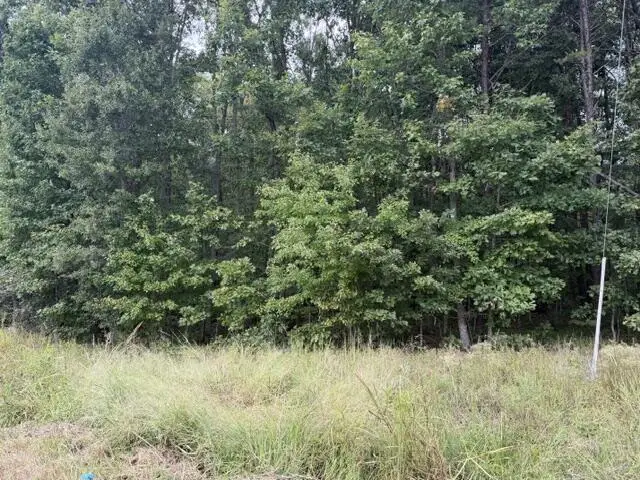 Twin Bridges Road, Green Bay, VA 23942 - #2