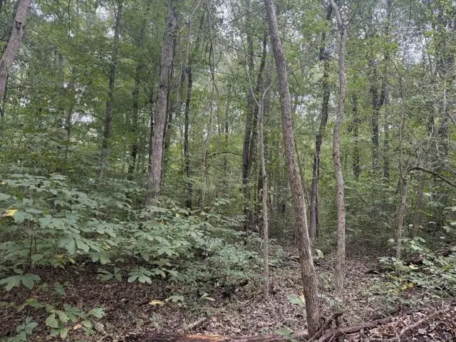 Twin Bridges Road, Green Bay, VA 23942 - #3