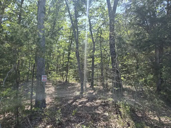 Route 40, Farmville, VA 23901
