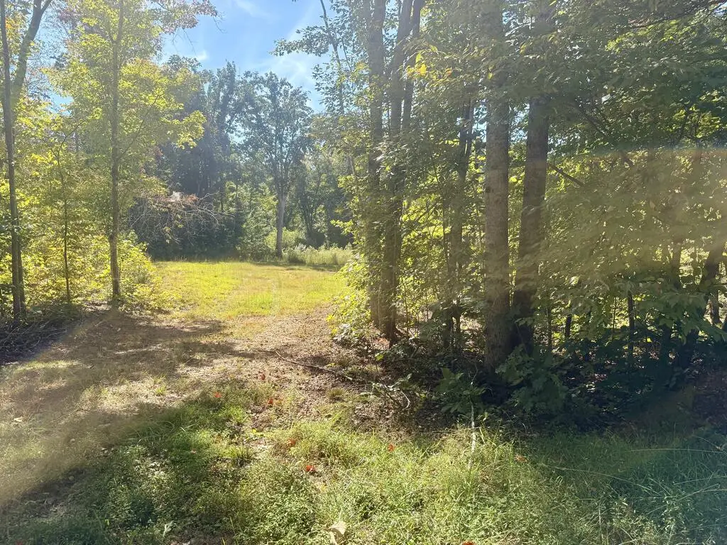 Watson Blvd, Meherrin, VA 23954 - #1