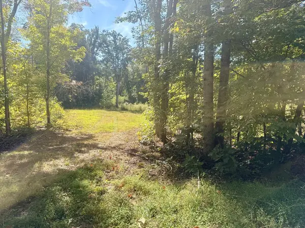 Watson Blvd, Meherrin, VA 23954