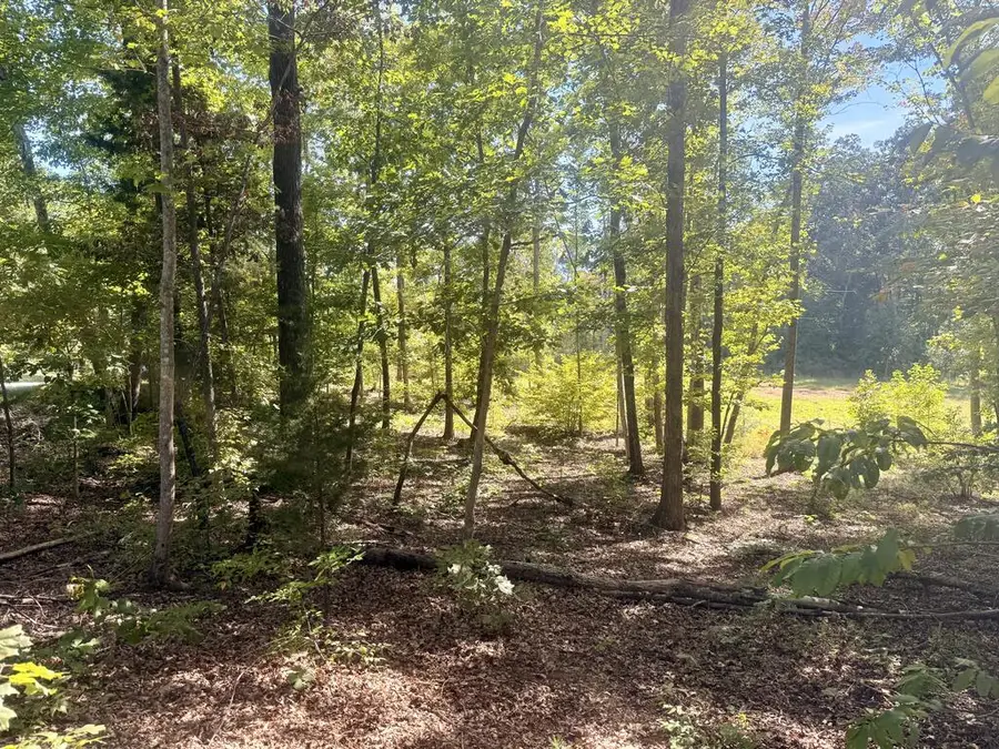 Watson Blvd, Meherrin, VA 23954 - #3
