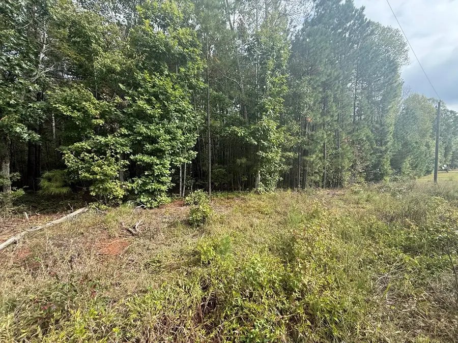 Westpoint Stevens Rd, Drakes Branch, VA 23937 - #3