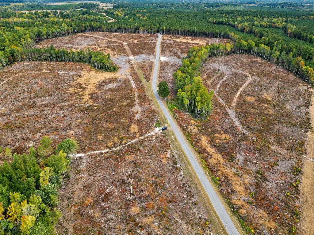 Brandy Creek Road, Emporia, VA 23847 - #1