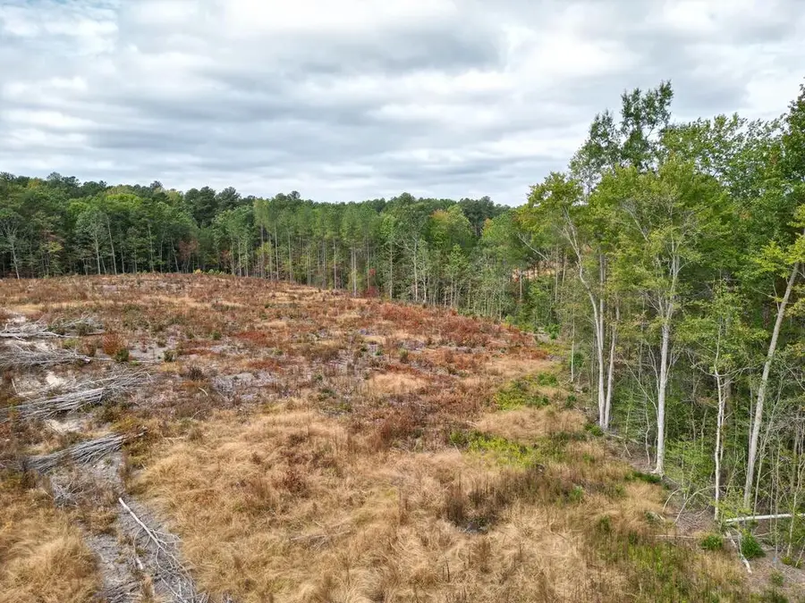 Brandy Creek Road, Emporia, VA 23847 - #3