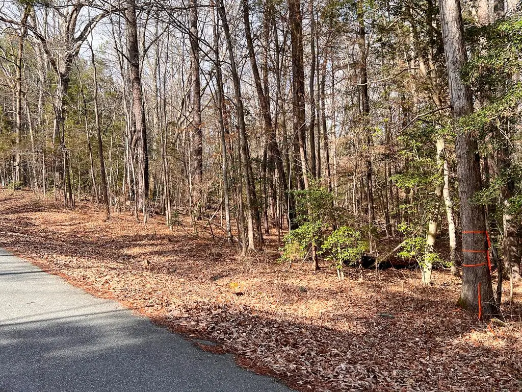 Lot 8 Country Boulevard, Bracey, VA 23919 - Image #1