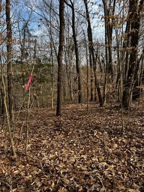 Lots 16 Cayuga Lane, Clarksville, VA 23927 - Image #1