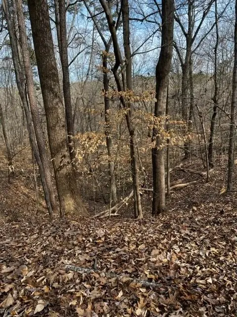 Lots 16 Cayuga Lane, Clarksville, VA 23927 - Image #3