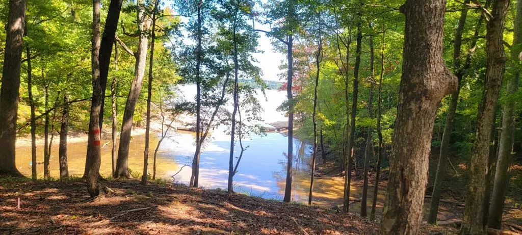 Lot 7 Belle Vista Drive, Buffalo Junction, VA 24529 - Image #1