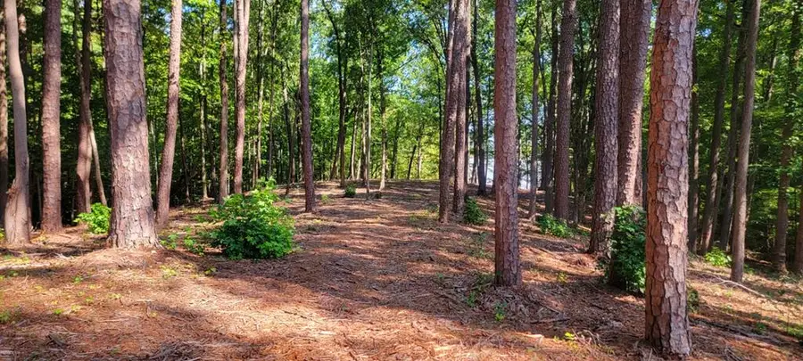 Lot 7 Belle Vista Drive, Buffalo Junction, VA 24529 - Image #3